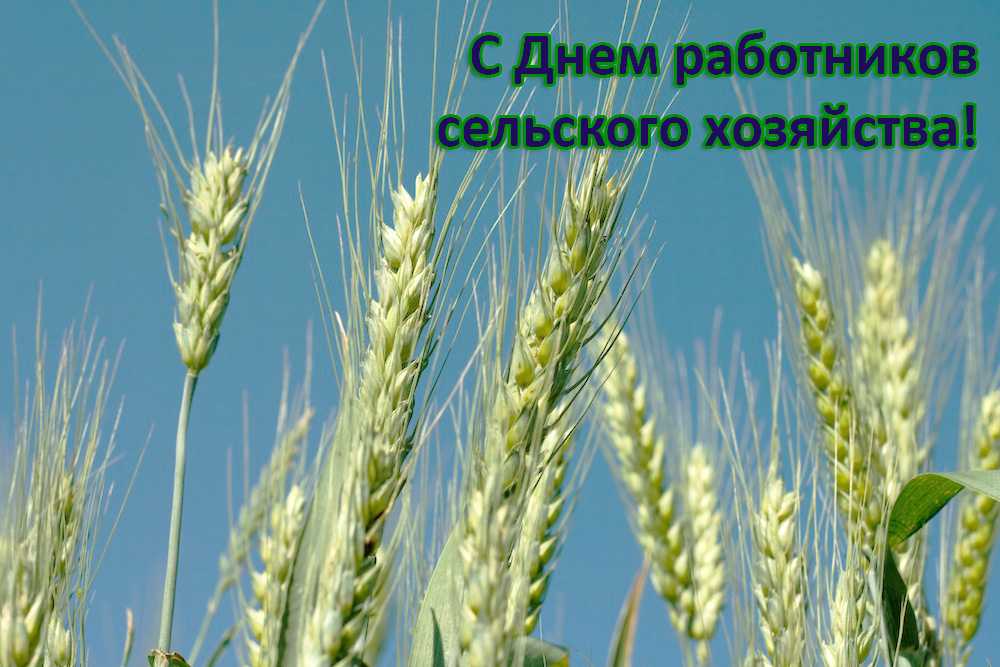 Специальные условия для сельхозпредприятий! в Москве